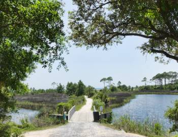 camp helen state park